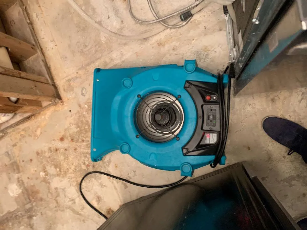 Air mover drying equipment for Mold Remediation & Removal in Sandersville